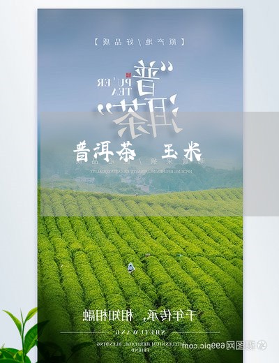 普洱茶 玉米/2023042858782